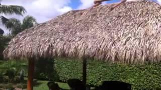 Big Kahuna Tiki Huts & Bars