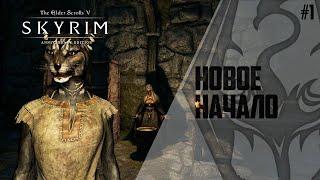 The Elder Scrolls 5: Skyrim / Прохождение за вора #1 / Старт за каджита