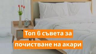 Топ 6 съвета за почистване на акари, които живеят в спалнята | Orange Frog