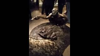 high times at the smithsonian natural history museum