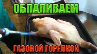 ПОДРОБНО! Как опалить курицу в домашних условиях! Горелкой или резаком!