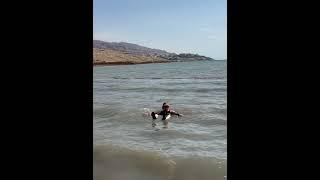 Dead Sea floating #relaxing #enjoy #travel #trending #youtubeshorts #viralshort