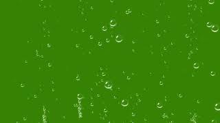 Water Bubble Green Screen Video 1080p | No Copyright