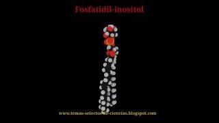 Estructura 3D del Fosfatidil Inositol