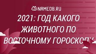 2021: Год какого животного по Восточному Гороскопу