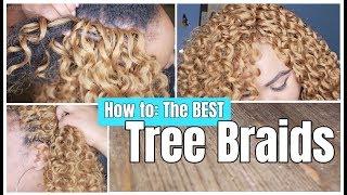 How to do Tree Braids | Revealing NEVER BEFORE SEEN SECRETS 2019! | Yaya's Technique