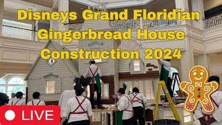  Live - Disney Christmas Gingerbread House  -  Walt Disney World  10.30.2024