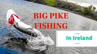 Big Pike fishing in Ireland