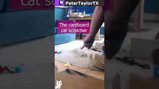 Smudge Demos a Carboard Scratcher