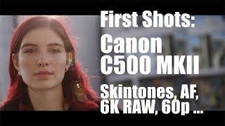 Test: Canon C500 MKII: Skintones, Dual Pixel Autofocus, 12 Bit 6K RAW ...