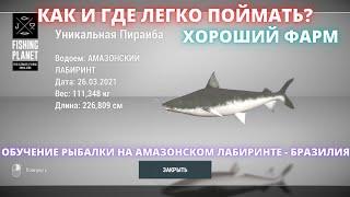 Fishing Planet | КАК И ГДЕ ПОЙМАТЬ УНИКАЛЬНУЮ ПИРАИБУ НА АМАЗОНКЕ? ПОДРОБНЫЙ ГАЙД ПО ЛОВЛЕ ПИРАИБ!