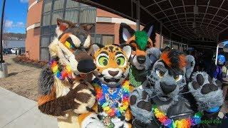 Pine Fur Con 2019 - Random Clips