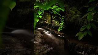 Light Painted or Natural? You Decide.