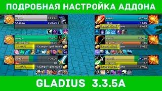 Подробная настройка аддона Gladius  3.3.5a