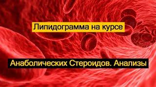 Липидограмма на курсе Анаболических Стероидов. Анализы.