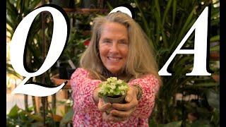  Plant Talk!   Green Thumb Questions Answered! 