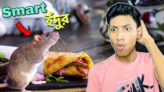 Ata Kemon RAT - RAT SIMULATOR || The Bangla Gamer