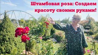 Штамбовая роза: Создаем красоту своими руками!