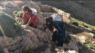 The Green Land: Nomadic Women and the Art of Collecting Vegetables