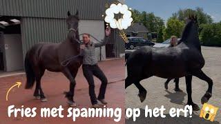 Paard is BANG op eigen ERF | DressuurNatuurlijk