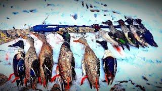 2023/2024/2025 sezenu ördek avları serisi #karamık 1 duck hunting охота на уток ördək ovu