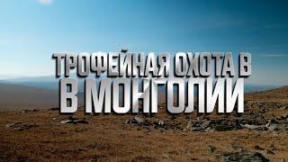 Трофейная охота в Монголии | Алтайский аргали, Гобийский, Алтайский и Хангайский козерог.