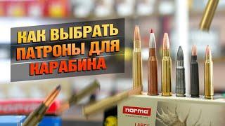 Как Выбрать Патрон К Нарезному? Импортный Или Отечественный?