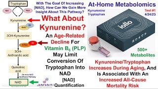 Kynurenine/Tryptophan Ratio: More Insight Into The De Novo NAD Synthesis Pathway