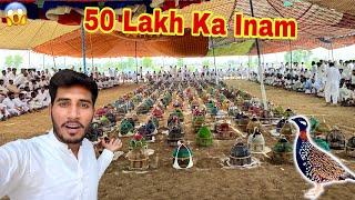 1000 Black Teetar Sound Competition Biggest Match Challenge