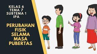 Perubahan Fisik Selama Masa Pubertas | Kelas 6 Tema 7 Subtema 1 | IPA