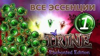 Trine enchanted edition 1. Astral Academy