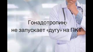 Гонадотропин не запускает "дугу" на ПКТ.