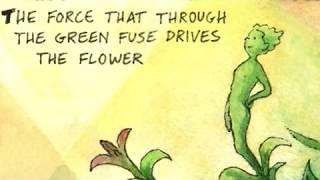 The Force That Through the Green Fuse Drives the Flower by Dylan Thomas