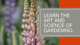 Learn the Art and Science of Gardening with OSU's Online Home Horticulture Program