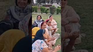 jindgi jhand #haryanvisong #haryanvigeet#haryanviculture#dance #lokgeet  #jakdi #ytshorts #shorts