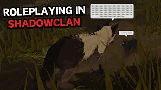 Attempting to Roleplay in ShadowClan... (Warrior Cats: Ultimate Edition)