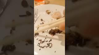 Nips Chocolate Chopsticks