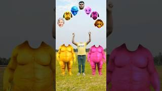 Two purple, blue & red Fatty dog vs cute brothers head matching with tu Radha meri main  songs