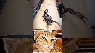 Tatto Aura...️ #cat #meme #dance