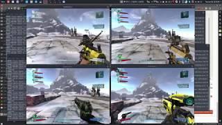 Borderlands 2 Co-Op 4-player on same computer (Linux) / split-screen