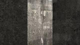 Taiwan Concrete Texture #shorts #concrete #cement #taiwan #texture