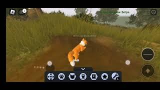 //Как получить бейдж Мудрец и как получить звёздный шарф в Warrior cats роблокс//