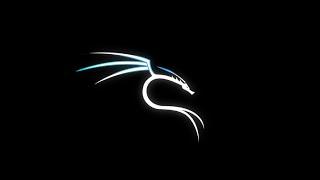 Installing Kali Linux 2020 Part 1