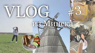 ВЛОГ из Минска #3 | экскурсия в деревню Дудутки | едем домой || Polinest 