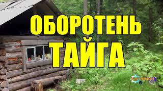 ДЕРЕВНЯ В ГЛУХОЙ ТАЙГЕ | ДЕД И ОБОРОТЕНЬ | ЖИЗНЬ В ЛЕСУ