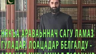 НЯКЪА, АРАВАЬННАЧ САГУ, ЛАМАЗ ГУЛАДАР, ЛОАЦАДАР БЕЛГАЛДУ - АЛБАКОВ МУХЬАММАД-Т1ОАХ1ИРУ.