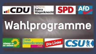 Alle Wahlprogramme aller größeren Parteien erklärt | EU-Wahl 2024