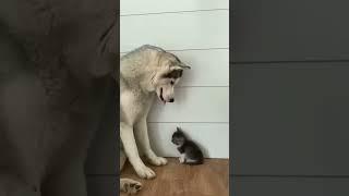 https://youtube.com/shorts/Fx-4DvKC-_k?feature=share23