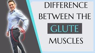 Difference Between the Gluteus Maximus & Gluteus Medius | Glute exercises