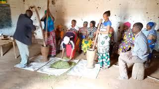 Botanical Pesticide Making By using Tagetes minuta plant